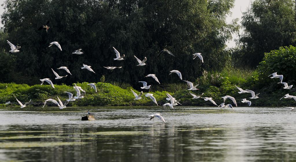 Vila Delta Travel - Mila 23 Mila Douăzeci şi Trei المظهر الخارجي الصورة
