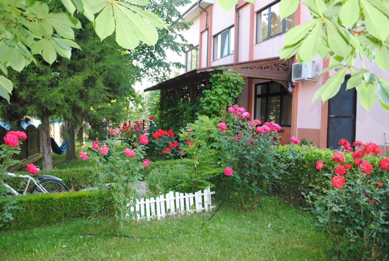 Vila Delta Travel - Mila 23 Mila Douăzeci şi Trei المظهر الخارجي الصورة