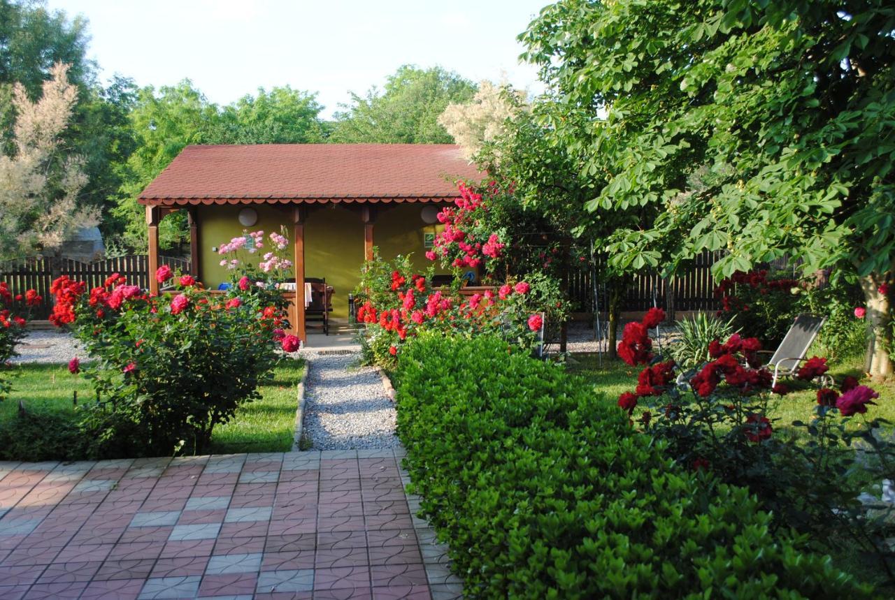 Vila Delta Travel - Mila 23 Mila Douăzeci şi Trei المظهر الخارجي الصورة